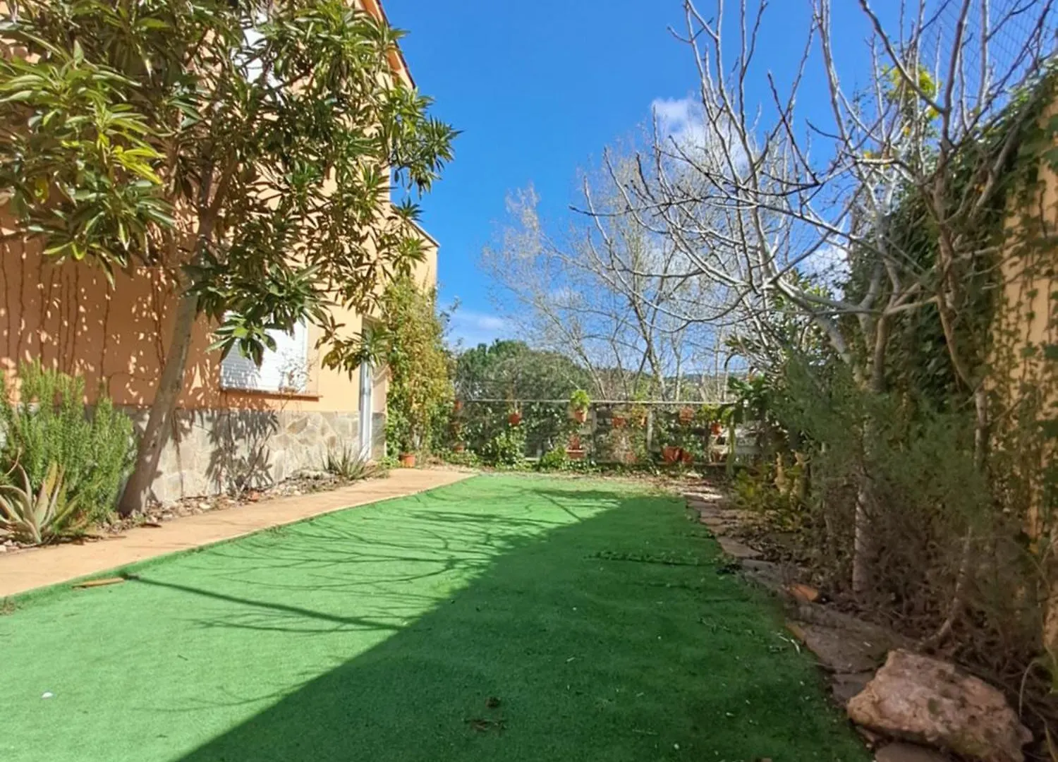 Villa Petunia Vilobi D'onyar